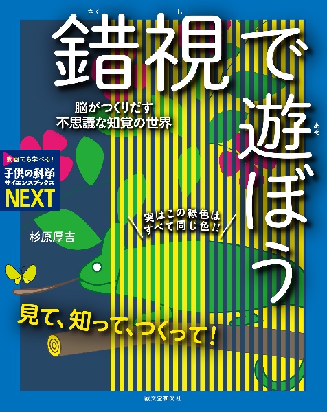 見て、知って、つくって!錯視で遊ぼう 脳がつくりだす不思議な知覚の世界 特別堅牢製本
