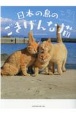 日本の島のごきげんな猫