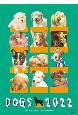 村松誠犬カレンダー　2022