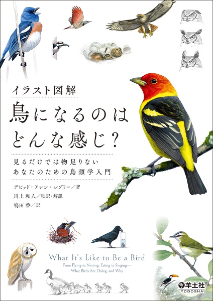 イラスト図解鳥になるのはどんな感じ？　見るだけでは物足りないあなたのための鳥類学入門