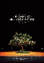 RINGOMUSUME　20th＋1　ANNIVERSARY　LIVE　〜りんごの木〜（BD）