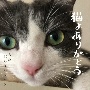 猫よありがとう