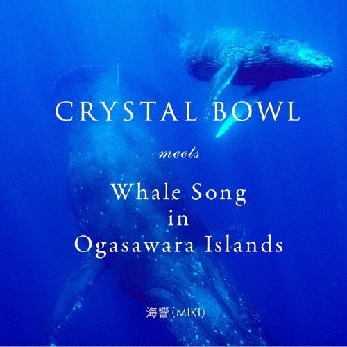 CRYSTAL BOWL meets Whale Song in Ogasawara Islands