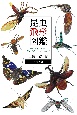 昆虫飛形図鑑　昆虫食の先生、飛んでる虫に魅せられて