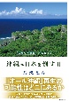 沖縄が日本を倒す日　「民意の再構築」が始まった