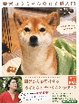 柴犬コウちゃんの女子道入門　オモロかわいいシバ写真画報