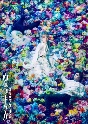 ミュージカル『ヴェラキッカ』Blu－ray　初回限定豪華版