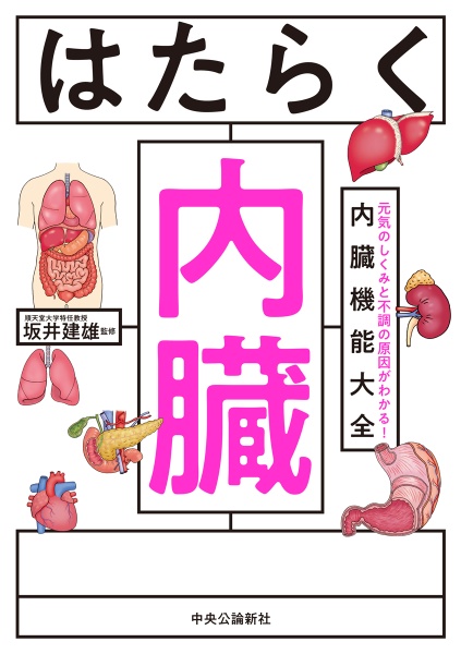 はたらく内臓 元気のしくみと不調の原因がわかる! 内臓機能大全