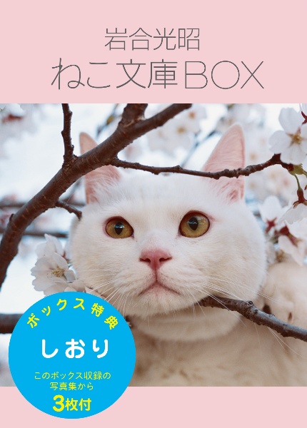 岩合光昭ねこ文庫ＢＯＸ