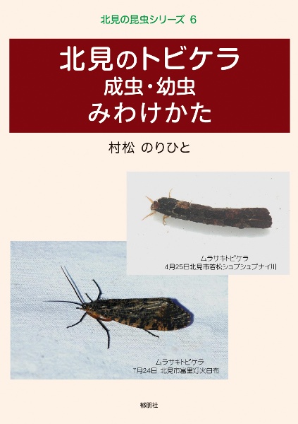 北見のトビケラ　成虫・幼虫みわけかた