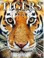 世界のトラ写真集TIGERS最大・最強の“野生猫”