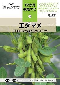 エダマメ　インゲンラッカセイソラマメエンドウ　ＮＨＫ趣味の園芸　１２か月栽培ナビ１９