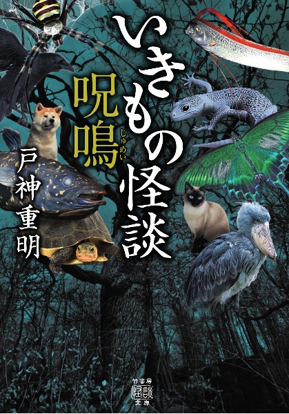 リュウグウノツカイ の作品一覧 26件 Tsutaya ツタヤ T Site
