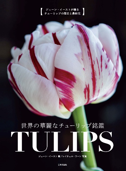 世界の華麗なチューリップ銘鑑ＴＵＬＩＰＳ