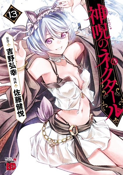 神呪のネクタール（13）