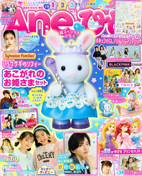 Ａｎｅひめ　かわいいが大好き！な小学１・２・３年生のための雑誌