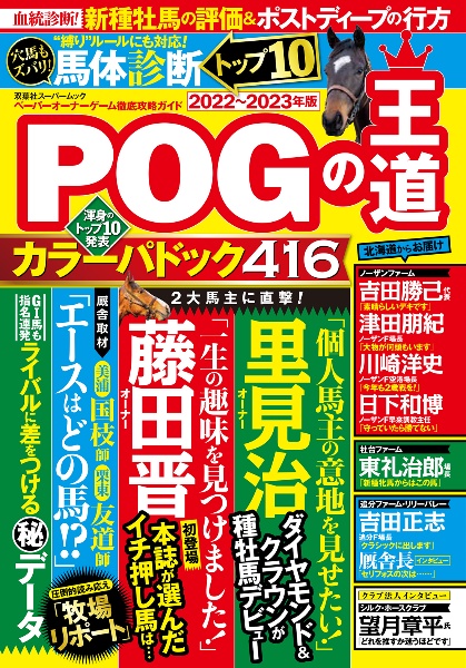 ＰＯＧの王道　２０２２ー２０２３年版　ペーパーオーナーゲーム徹底攻略ガイド