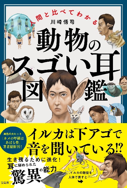 人間と比べてわかる　動物のスゴい耳図鑑