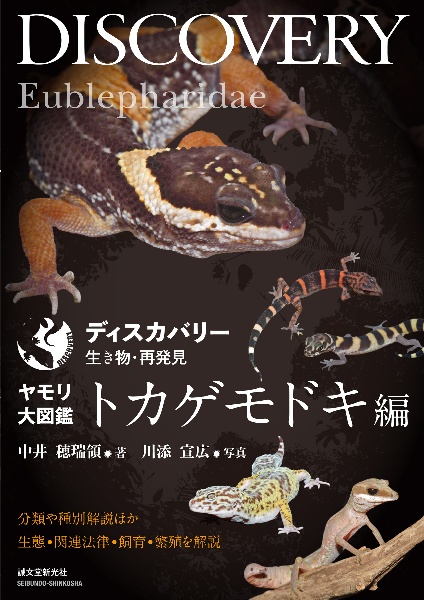 ヤモリ大図鑑　トカゲモドキ編　分類や種別解説ほか生態・関連法律・飼育・繁殖を解説