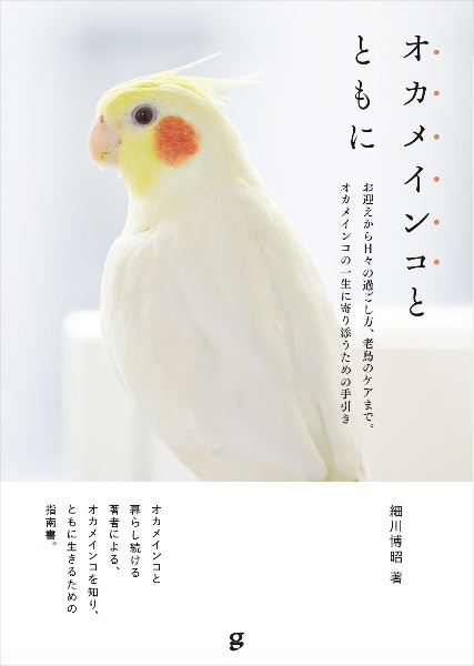 オカメインコとともに お迎えから日々の過ごし方、老鳥のケアまで