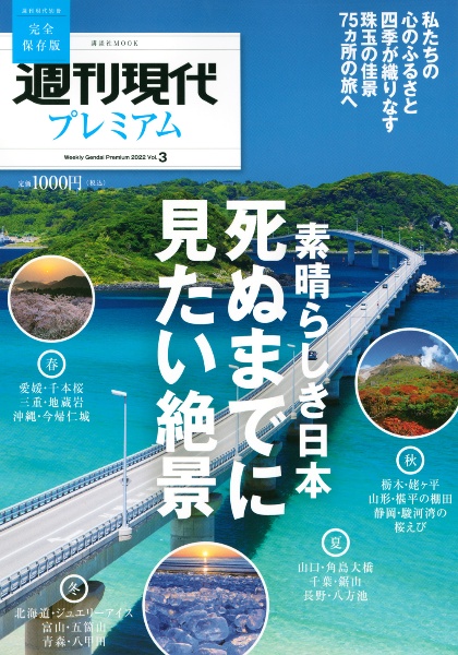 週刊現代プレミアム　２０２２　週刊現代別冊