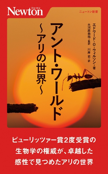 アント・ワールド~アリの世界~