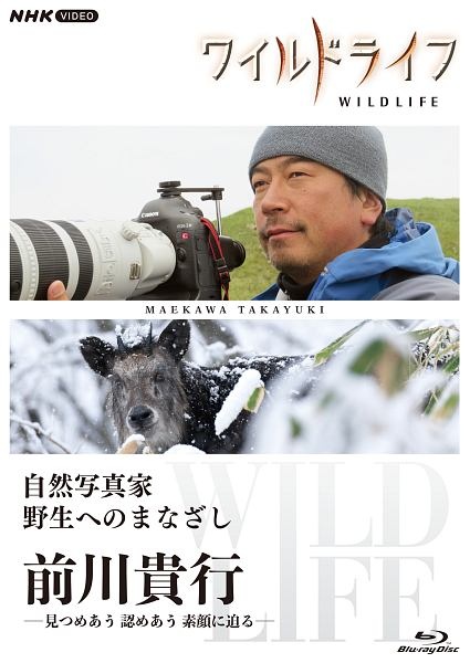 ワイルドライフ　自然写真家　野生へのまなざし　前川貴行