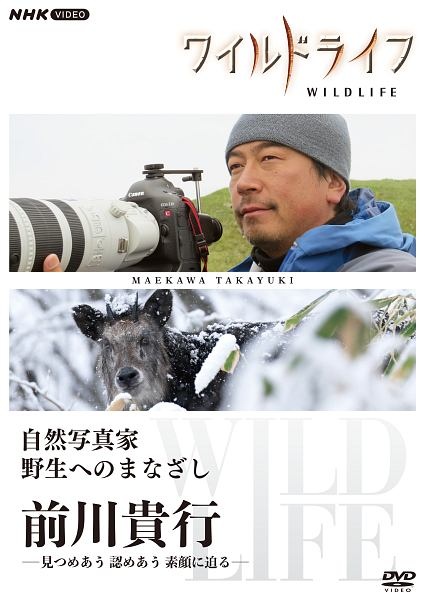 ワイルドライフ　自然写真家　野生へのまなざし　前川貴行