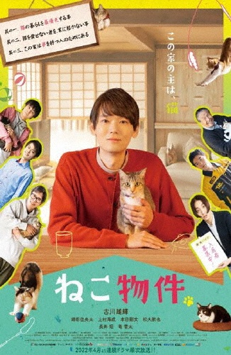 「ネコナデ」 DVD-BOX(4枚組) 連続テレビドラマ　猫