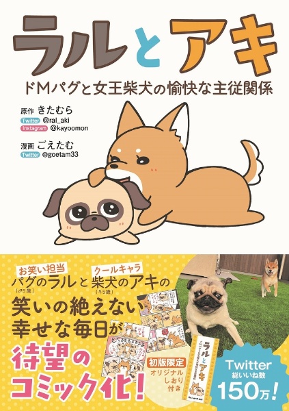 ラルとアキ　ドＭパグと女王柴犬の愉快な主従関係