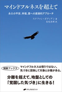 マインドフルネスを超えて　永久の平安、幸福、愛への直接的アプローチ