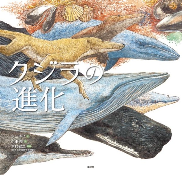 水口博也『クジラの進化』