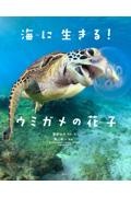 海に生きる! ウミガメの花子