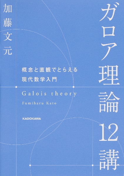 ガロア理論１２講　概念と直観でとらえる現代数学入門