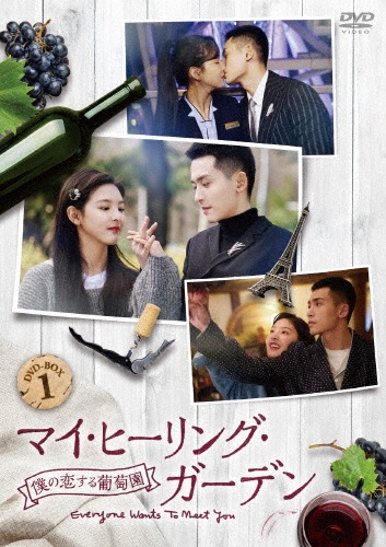 マイ・ヒーリング・ガーデン〜僕の恋する葡萄園〜　DVD－BOX1