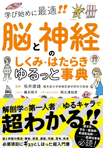 脳と神経のしくみ・はたらき　ゆるっと事典