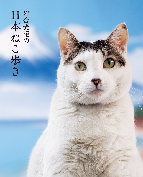 岩合光昭の日本ねこ歩き