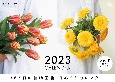 365日の植物図譜　日めくりカレンダー　2023