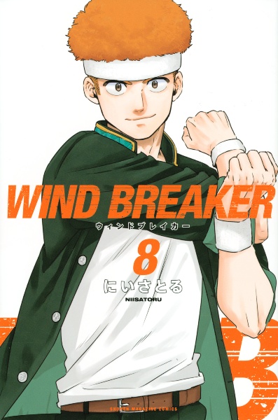 ＷＩＮＤ　ＢＲＥＡＫＥＲ８