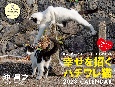 幸せを招くハチワレ猫カレンダー　2023
