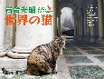 岩合光昭世界の猫カレンダー　2023