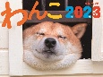 JTBのカレンダーわんこ壁掛け犬　2023