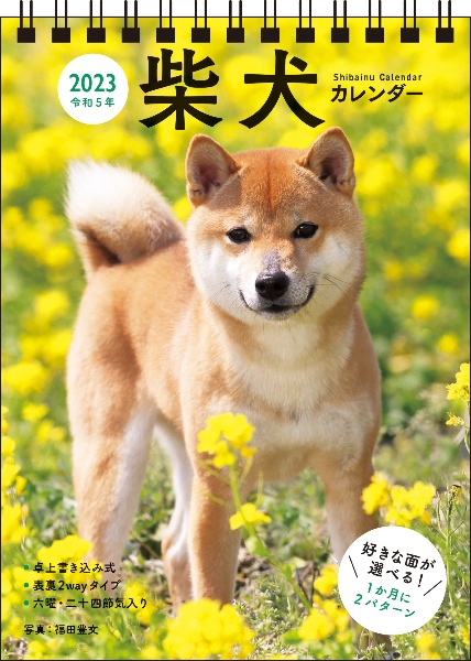 柴犬カレンダー卓上書き込み式(B6タテ)【S3】 2023