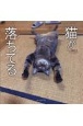 猫が落ちてる