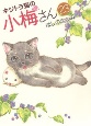 キジトラ猫の小梅さん(23)