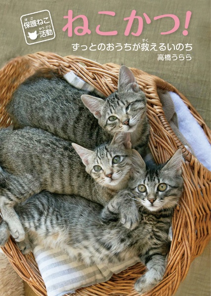 保護ねこ活動 ねこかつ! ずっとのおうちが救えるいのち