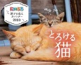 にゃっぷる旅するねこカレンダー卓上版とろける猫　2023