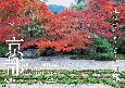京都名所カレンダー　2023