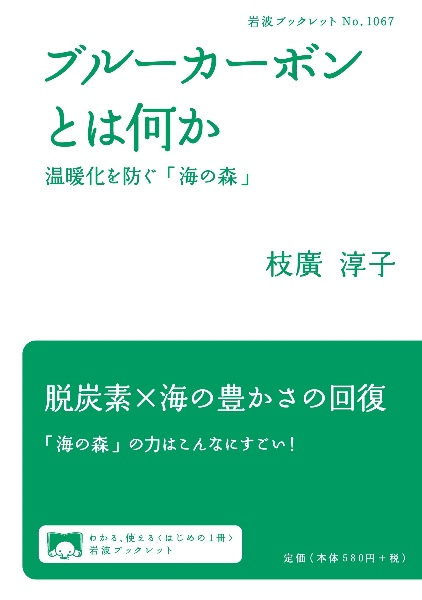 ブルーカーボンとは何か　温暖化を防ぐ「海の森」