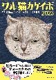 ワル猫カケイボ　2023